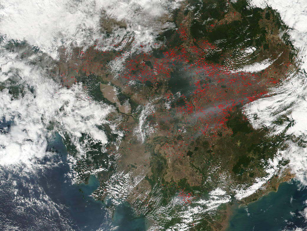 MODIS image of fires in Cambodia
