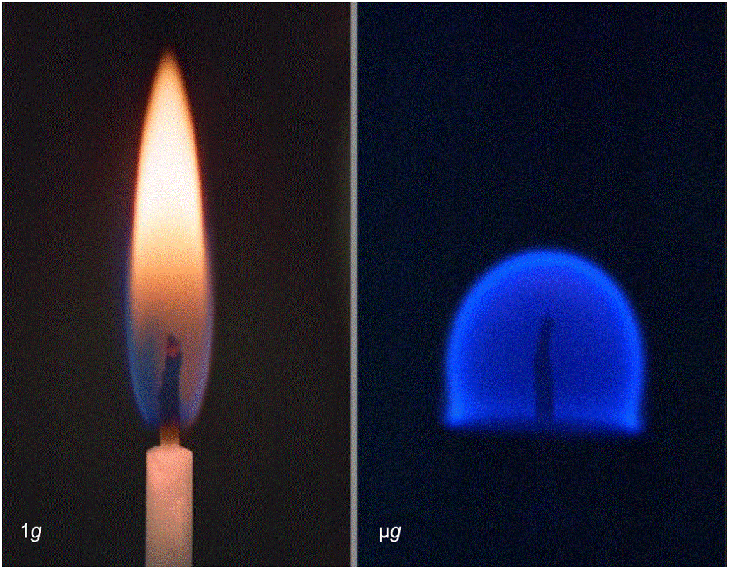 On Earth, gravity-driven buoyant convection causes a candle flame to be teardrop-shaped and carries soot to the flame's tip, which makes it yellow. In microgravity, where convective flows are absent, the flame is spherical, soot-free and blue.