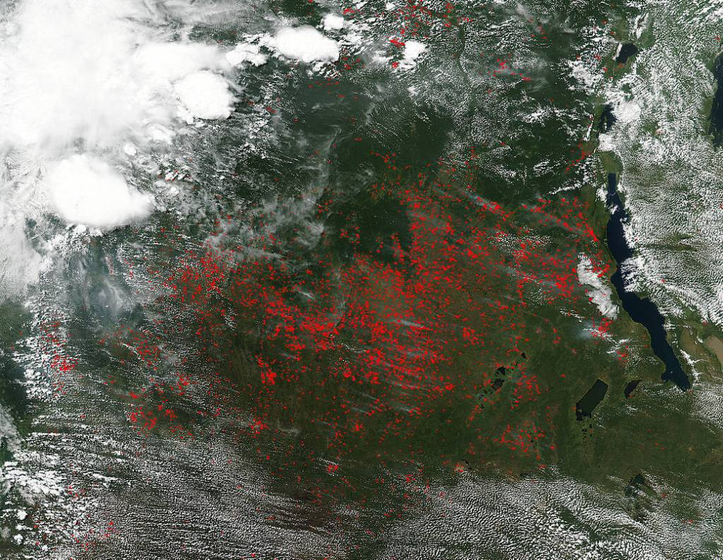 Fires Take Over Most of Central Africa in Satellite Image