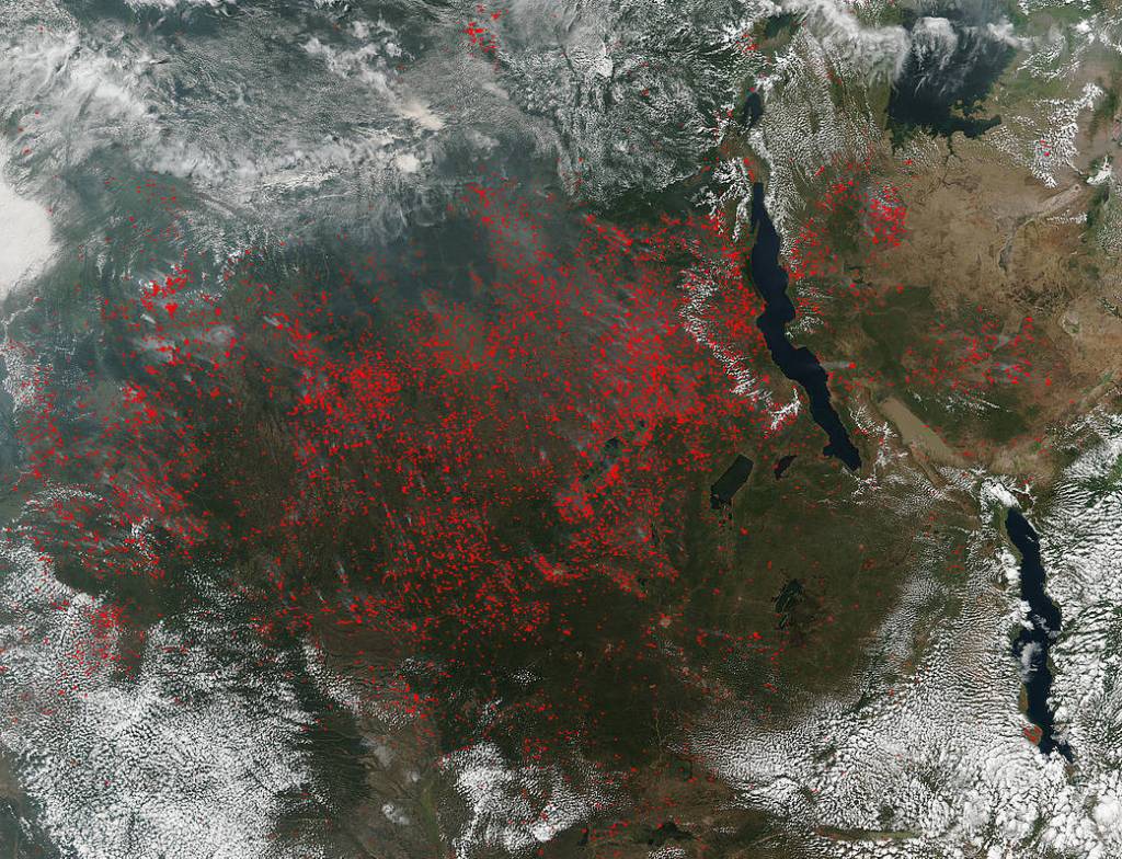 Hundreds of Fires Take Over Central Africa