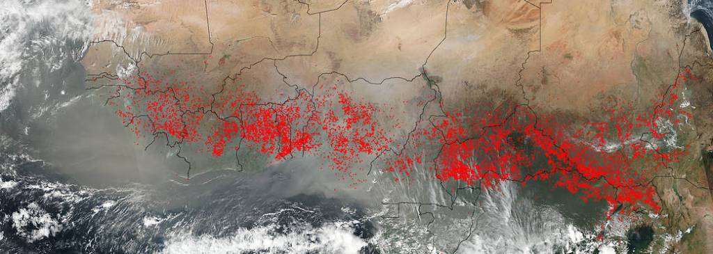 Agricultural Fires in Africa Stretch the Whole of the Continent