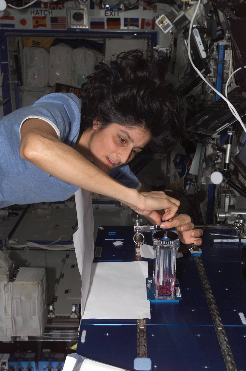 Astronaut Sunita L. Williams with CFE hardware