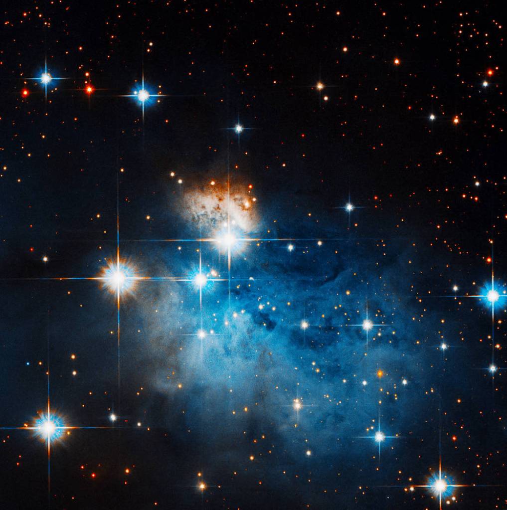Observing a Dark Nebula