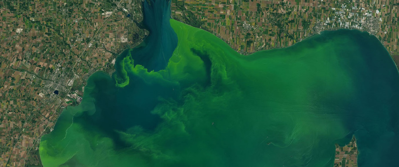 Aerial shot of land and water.