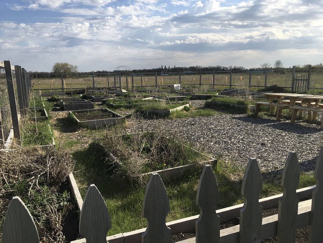 Student Gardens
