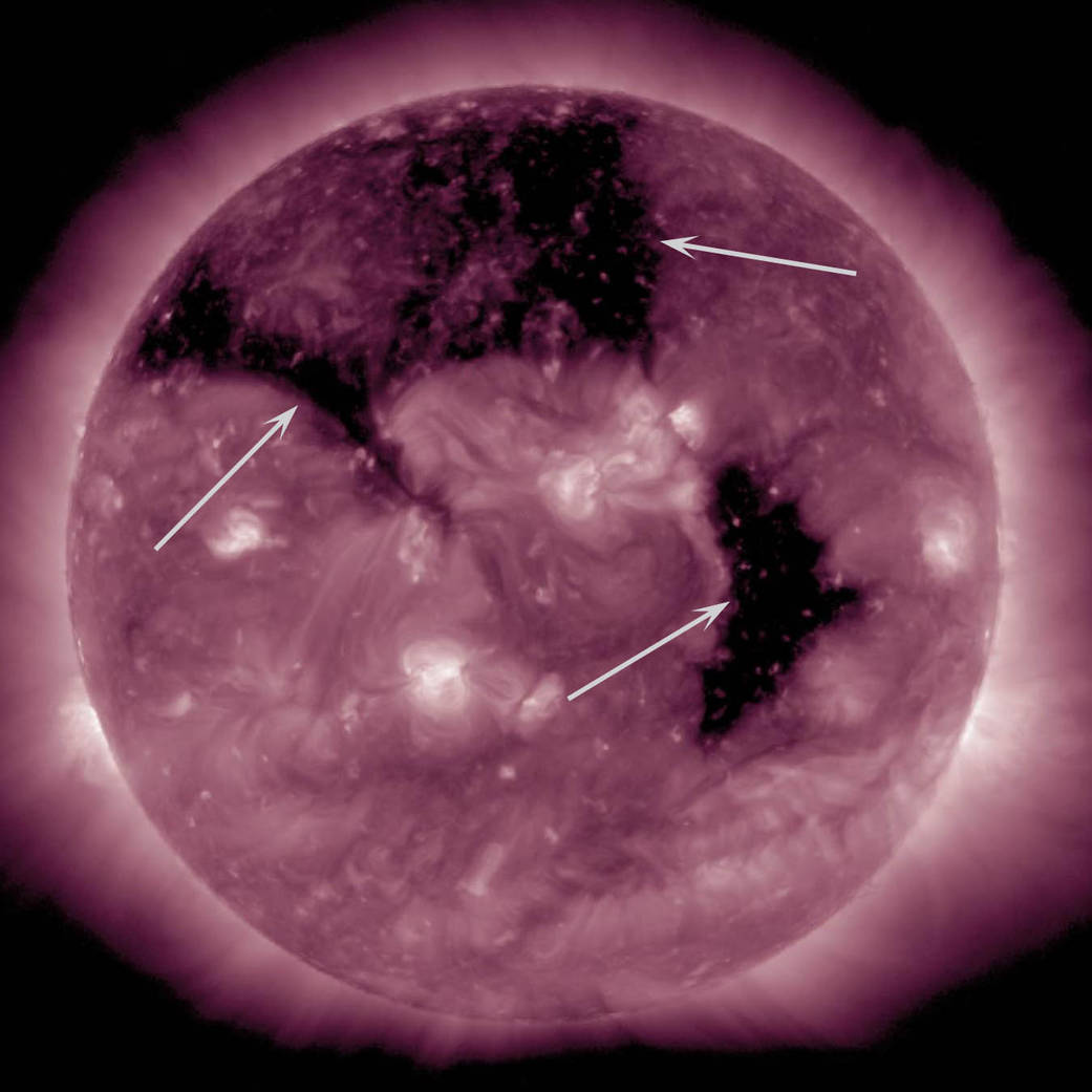 SDO image of sun showing three coronal "holes"