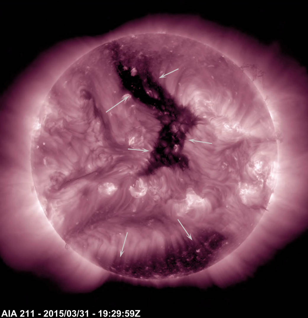 A pair of substantial coronal holes were the most notable features on the Sun over the past week (Mar. 28 - Apr. 2, 2015).