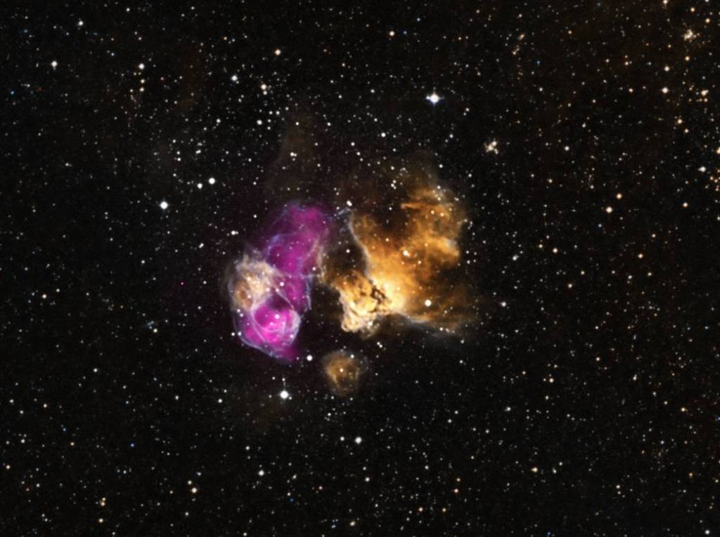 Hardy Star Survives Supernova Blast