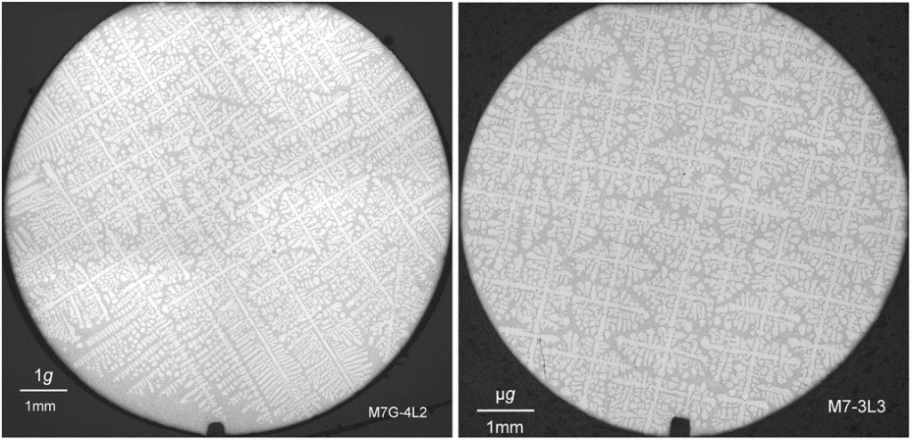 Dendritic Growth – 1g vs Microgravity