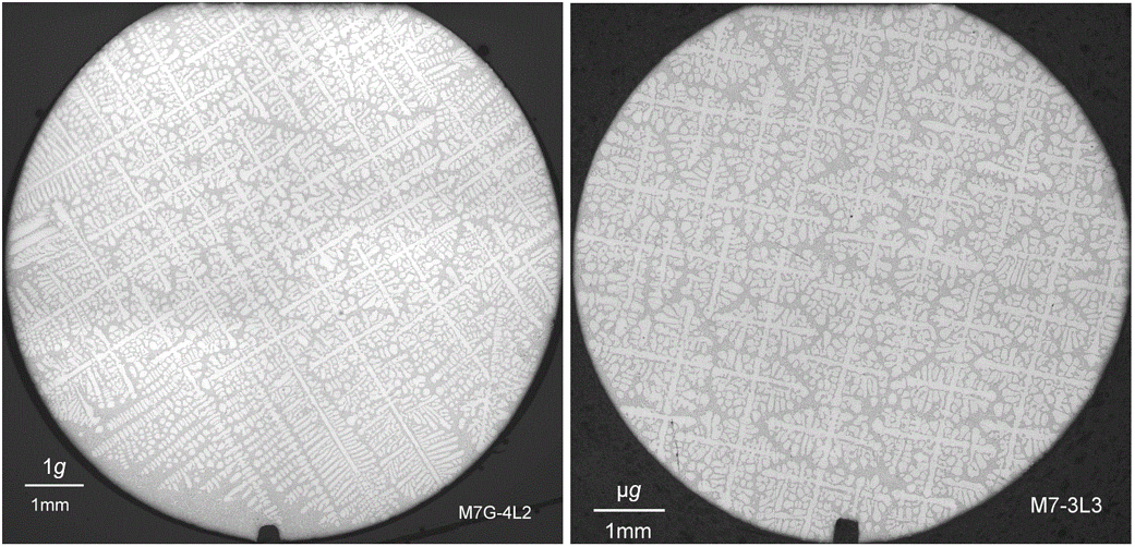 Dendritic Growth - 1g vs Microgravity