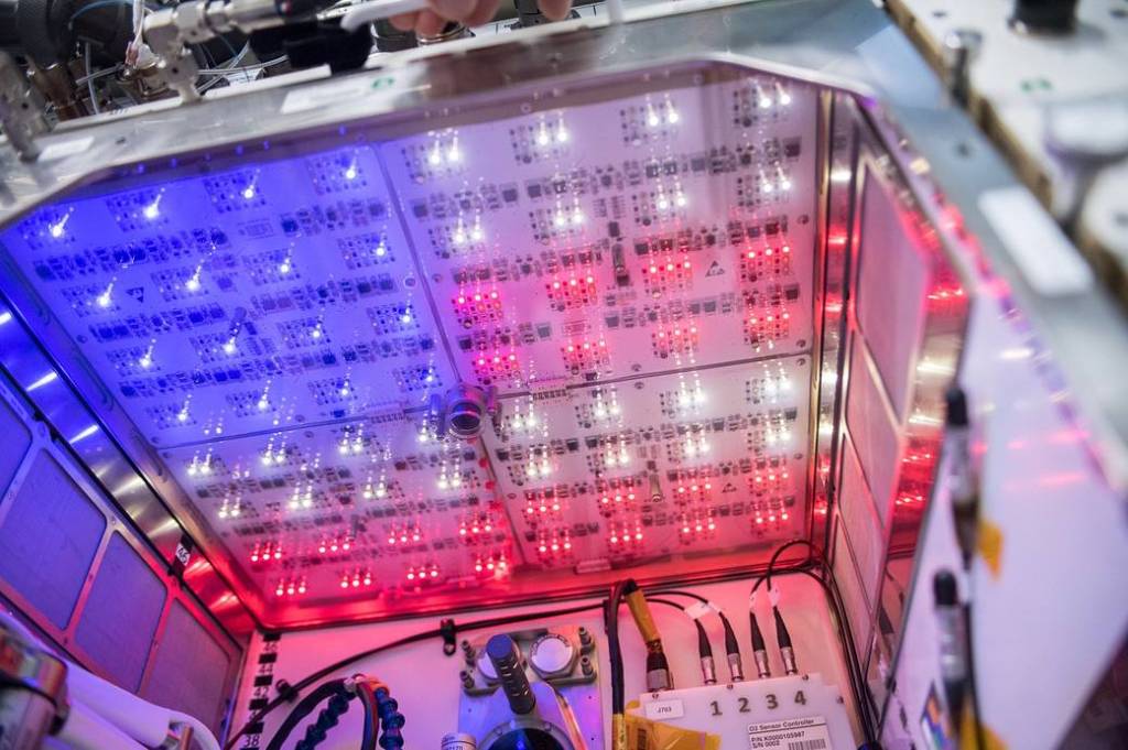 Space Station’s Plant Habitat Celebrates the Fourth of July