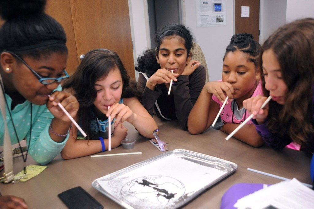 Goddard SISTER Program: 2013