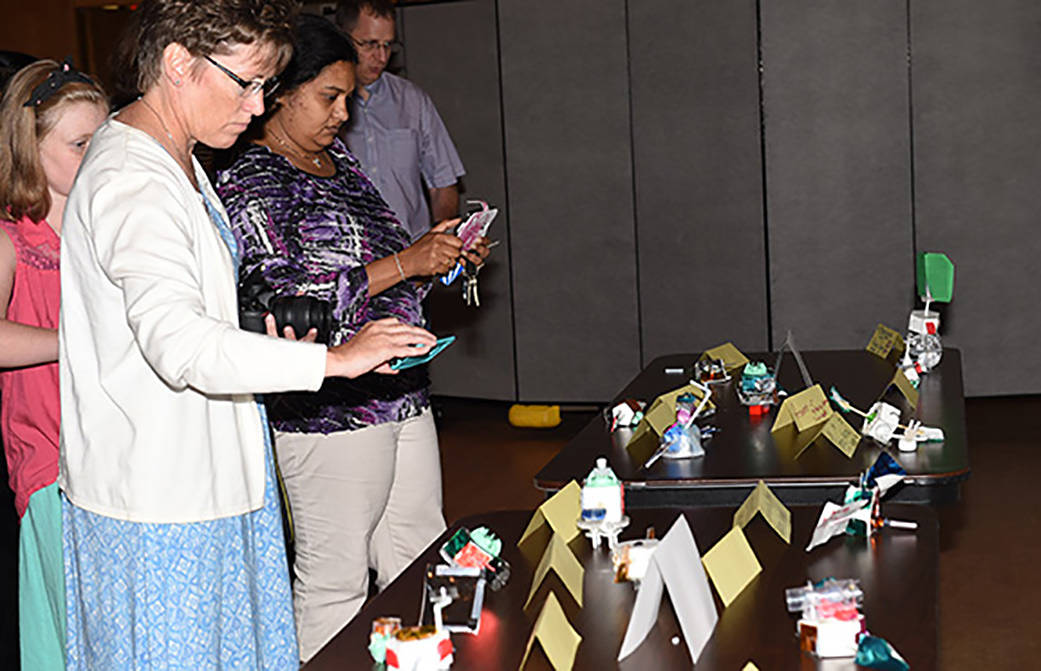 photo of SISTER program activities at NASA Goddard in 2015