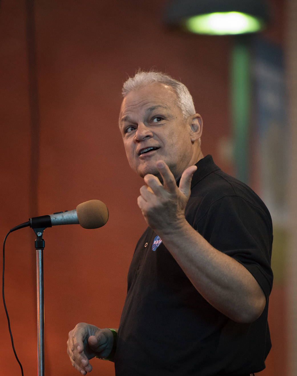 Douglas Terrier in Mars, PA