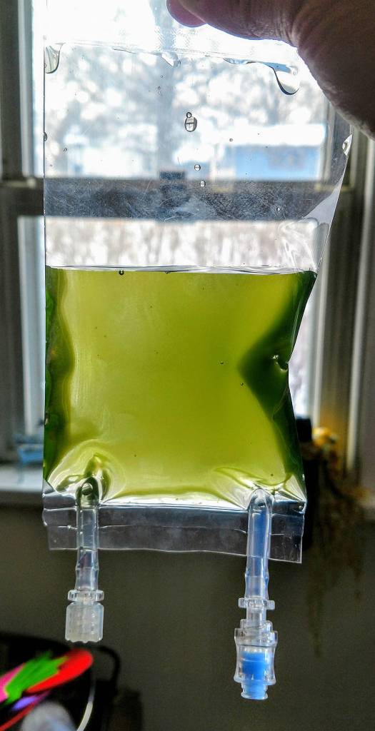 Algae Space Bag 2