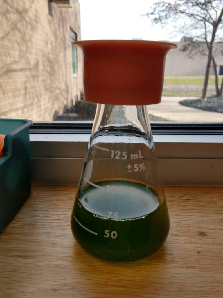 Algae Spectrophotometer