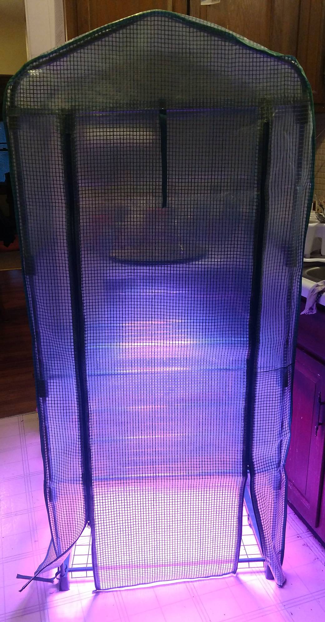 Growth chamber 1