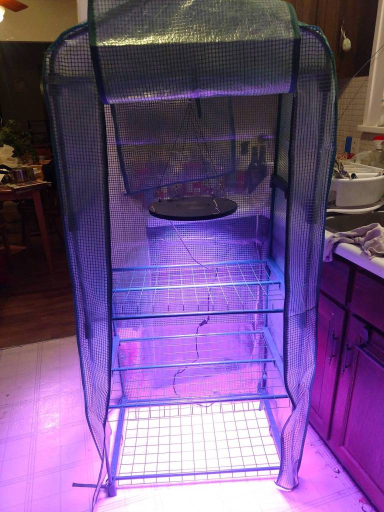 Growth Chamber 2