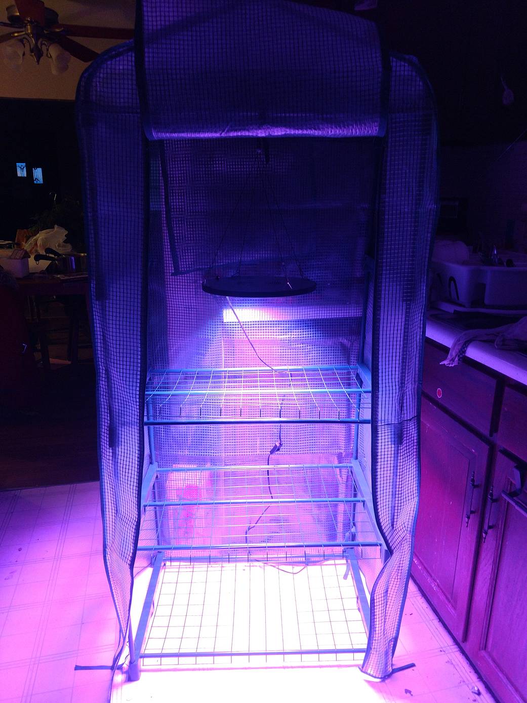 Growth chamber with LED grow light for H. pluvialis