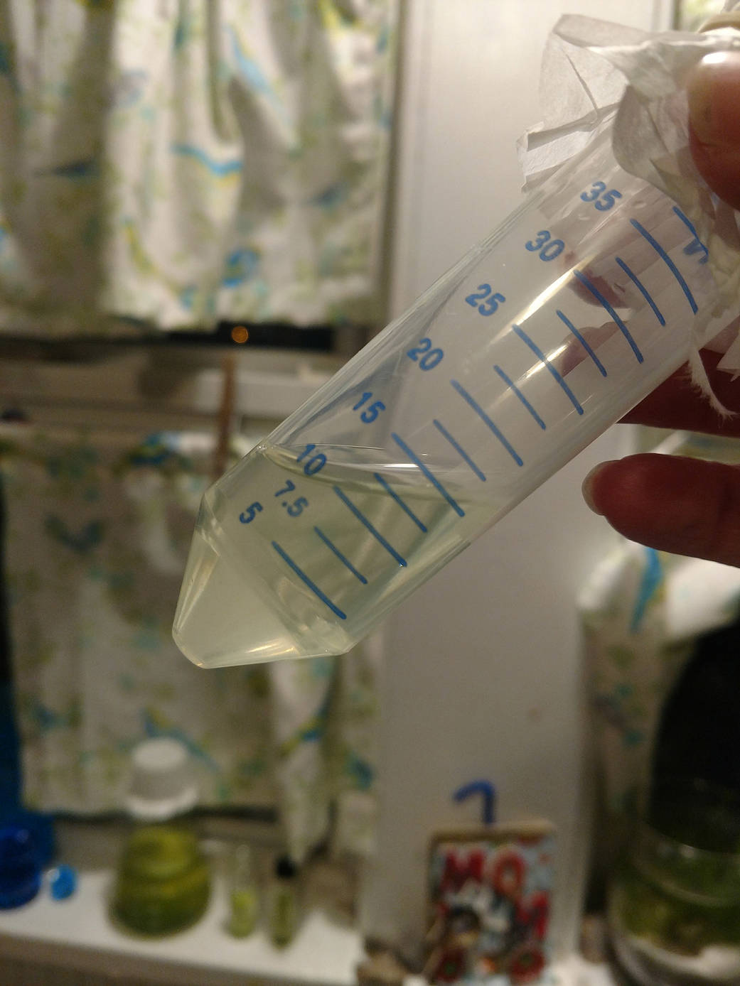 A 2:12 sample of H. pluvialis in broth