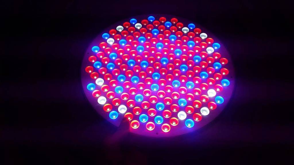 LED Grow Light 2