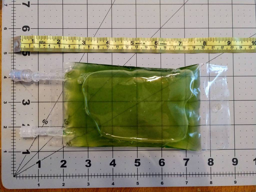 Measuring Bag of H. pluvialis 1