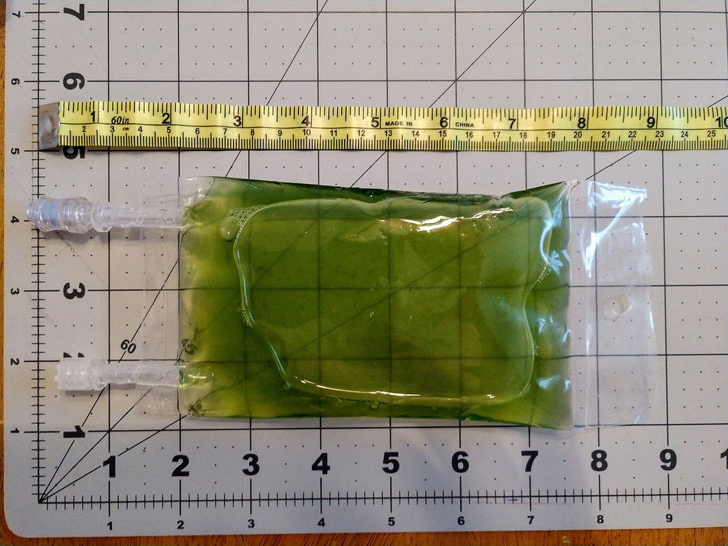 Taking measurements of the filled culture space bag