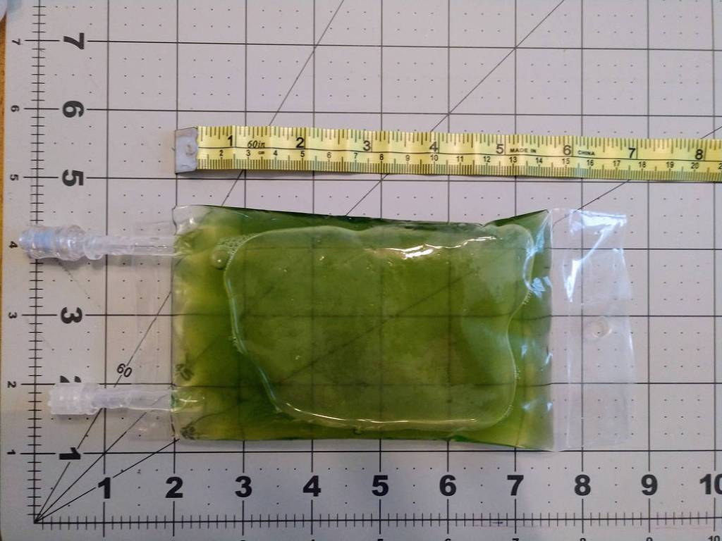 Measuring Bag of H. pluvialis 2