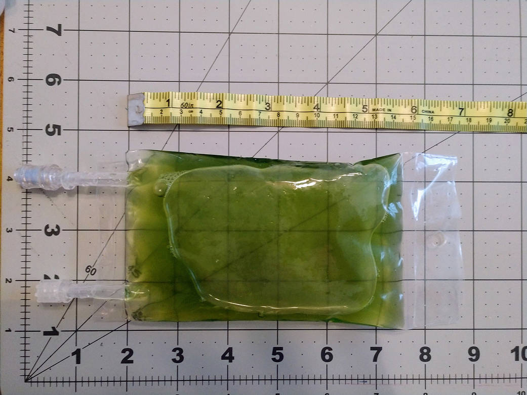 Taking measurements of the filled culture space bag