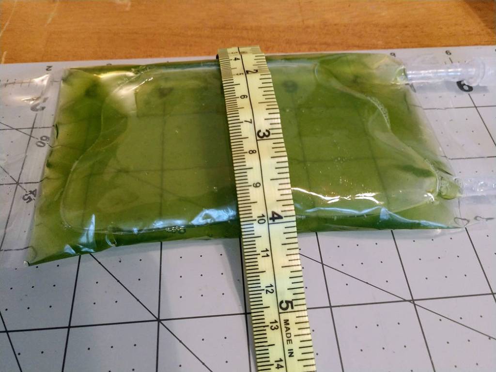 Measuring Bag of H. pluvialis 3
