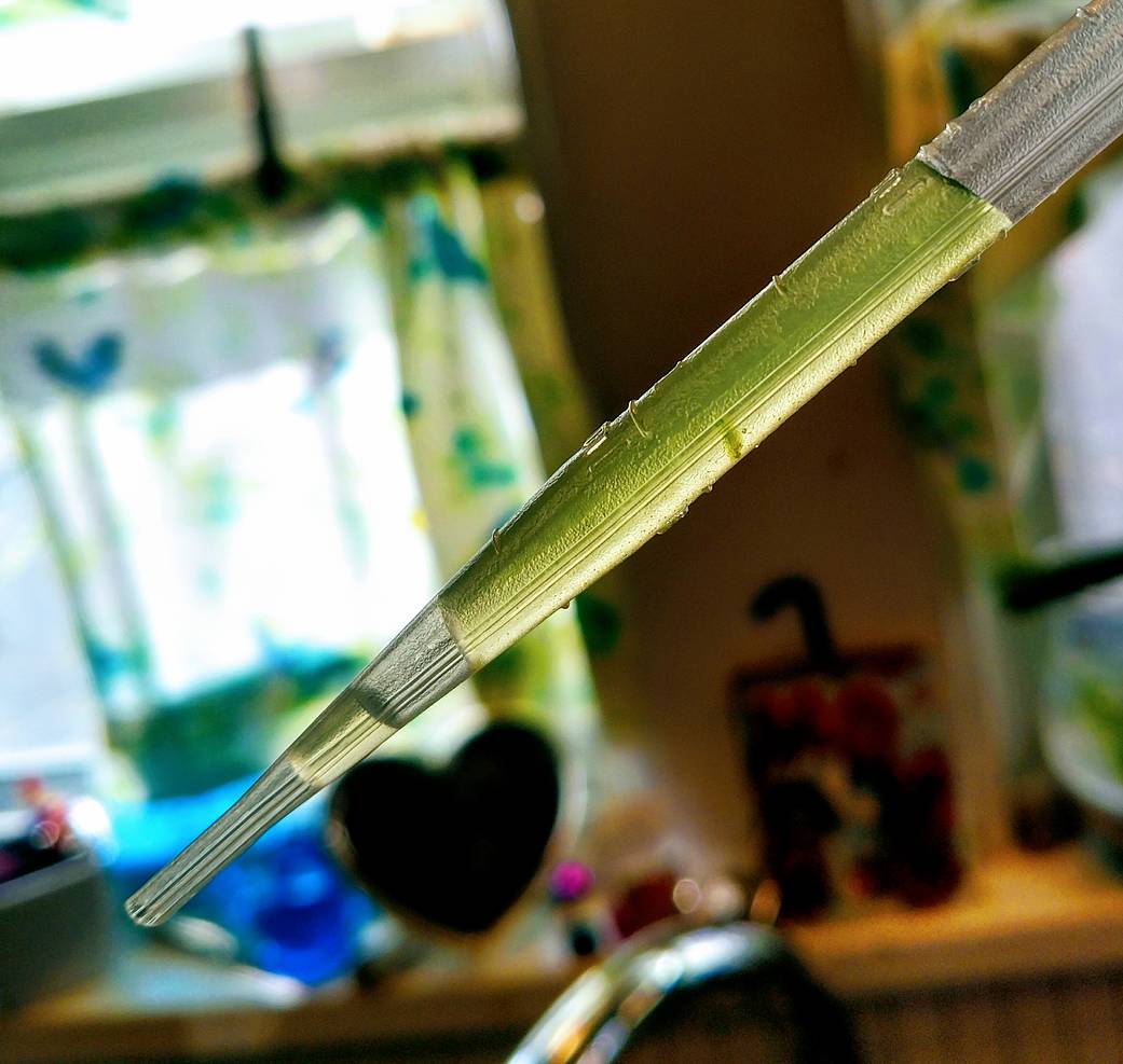 Pipette of H. pluvialis 1