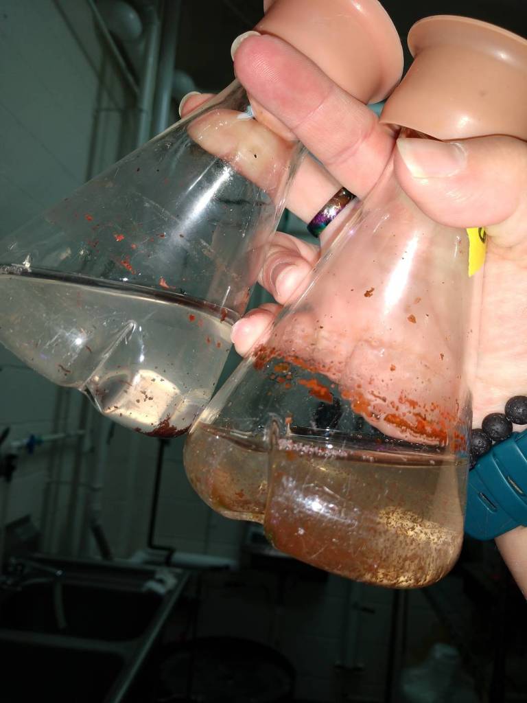 Red Algae Flask 3