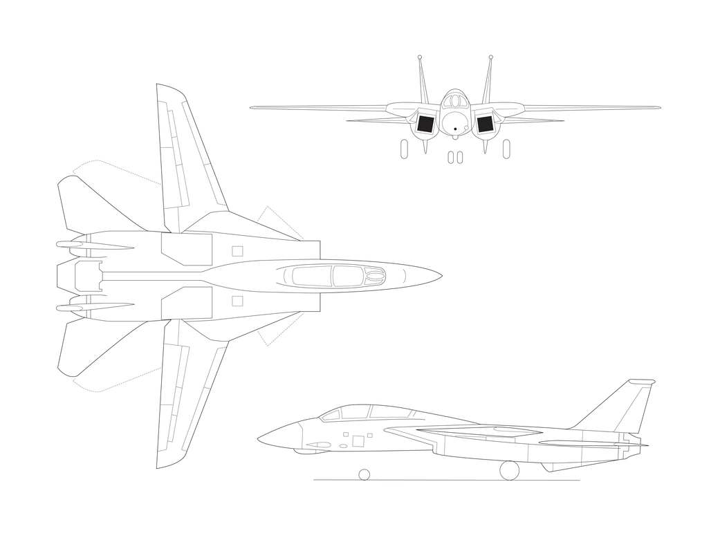 F-14 Illustration