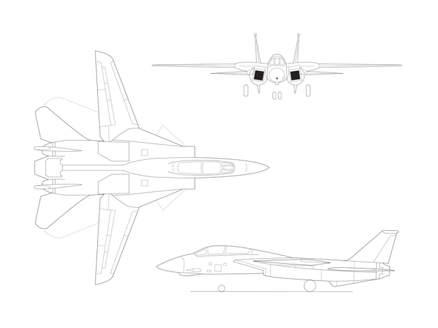 F-14 Illustration