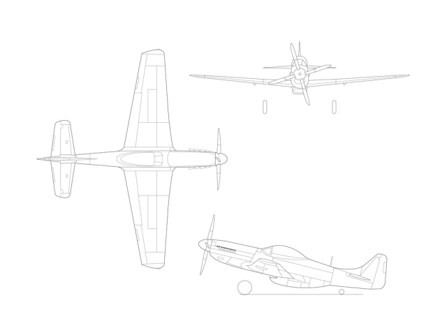P-51D Illustration