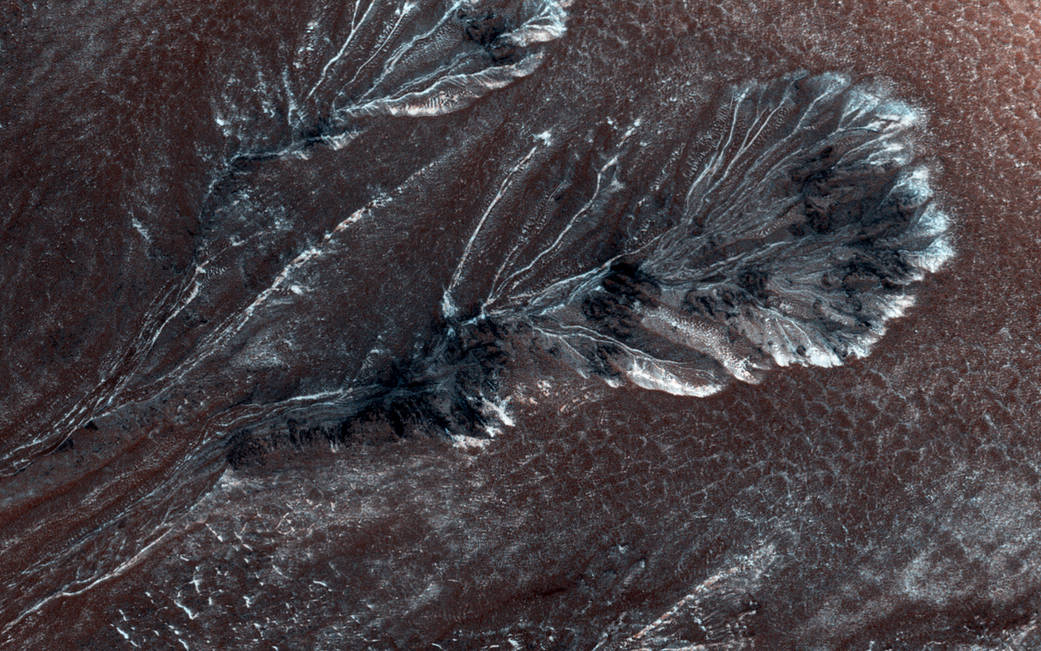 Flows in gullies on dark red Mars surface