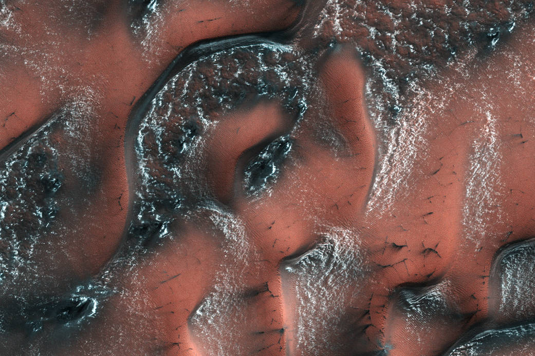 Dunes on surface of Mars with snow and ice on ridges