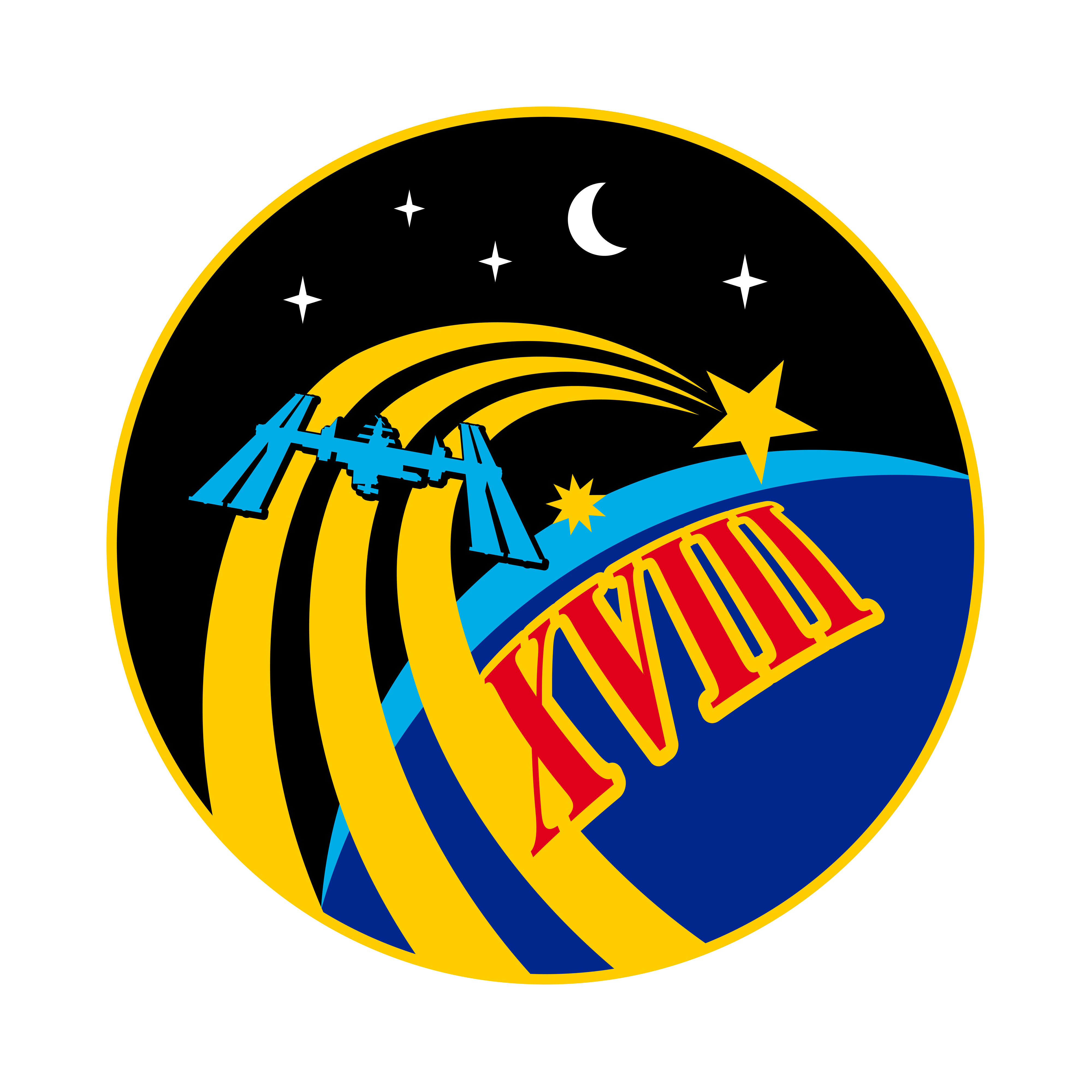 Expedition 18 Crew Insignia