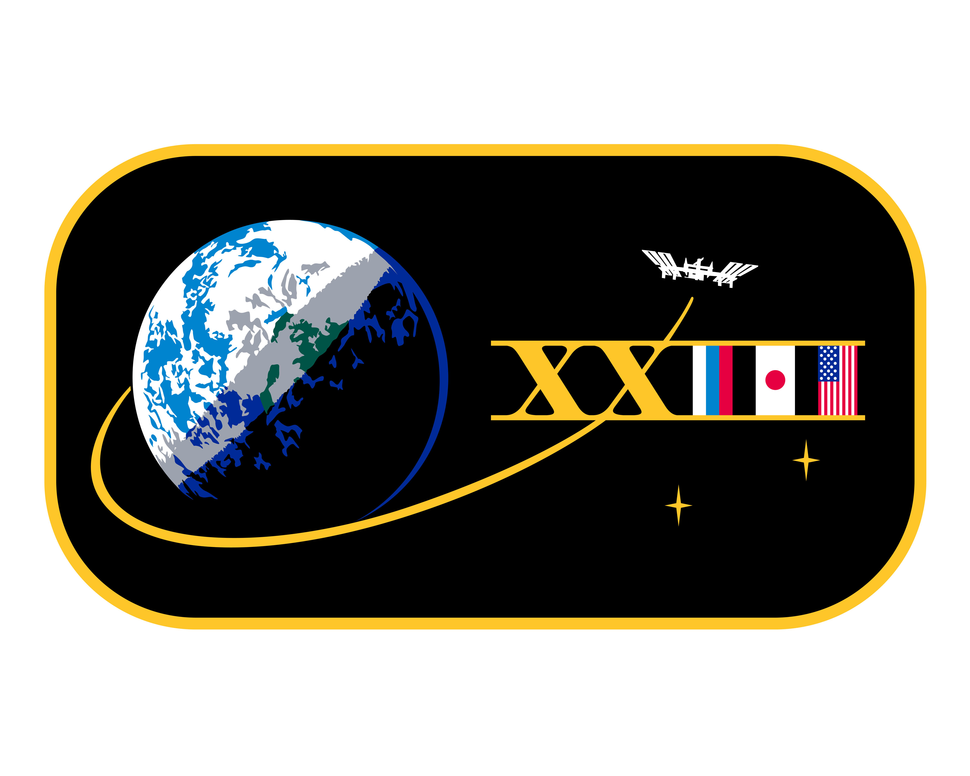 Expedition 23 Official Crew Insignia