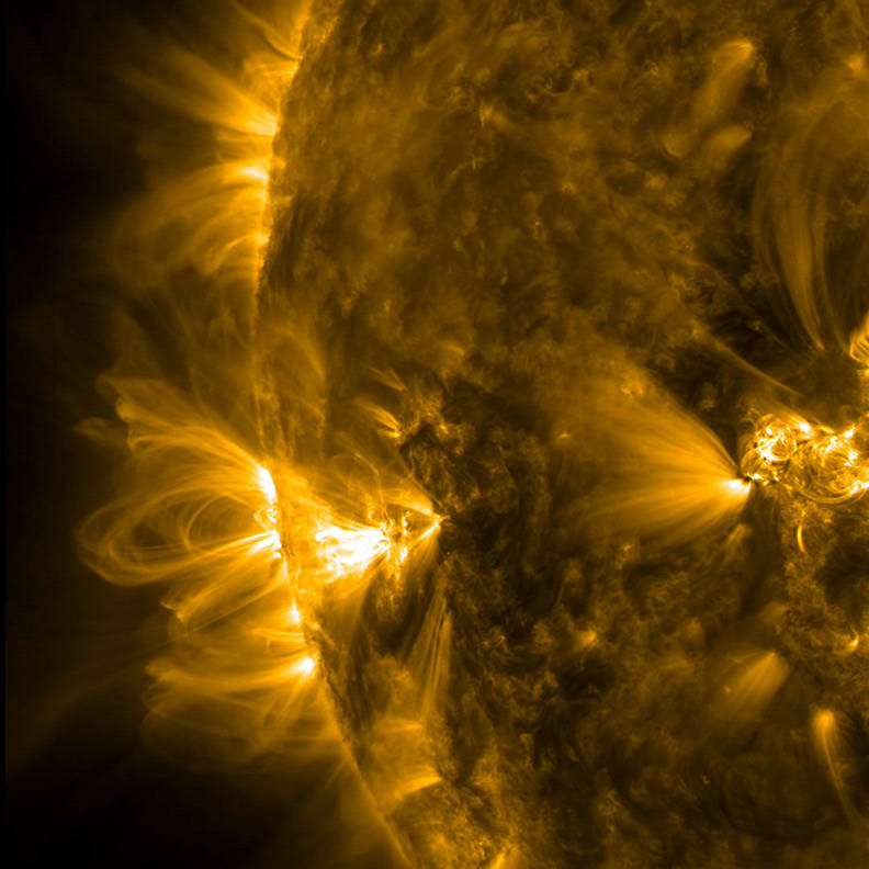 An active region of the sun just rotating into the view of NASA's Solar Dynamics Observatory gives a profile view of coronal loo