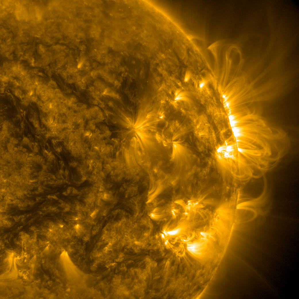 A whole series of loops towered above a group of active regions over a five-days period.
