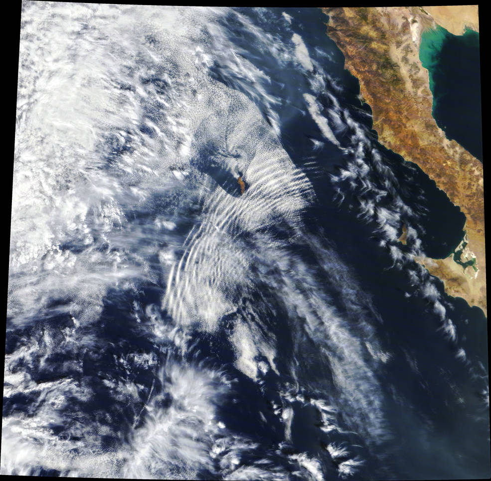 A view of Earth from space, looking down at clouds over the ocean. The west coast of California is discernible on the right of the image. White clouds form ripples over the ocean indicative of buoyancy waves.