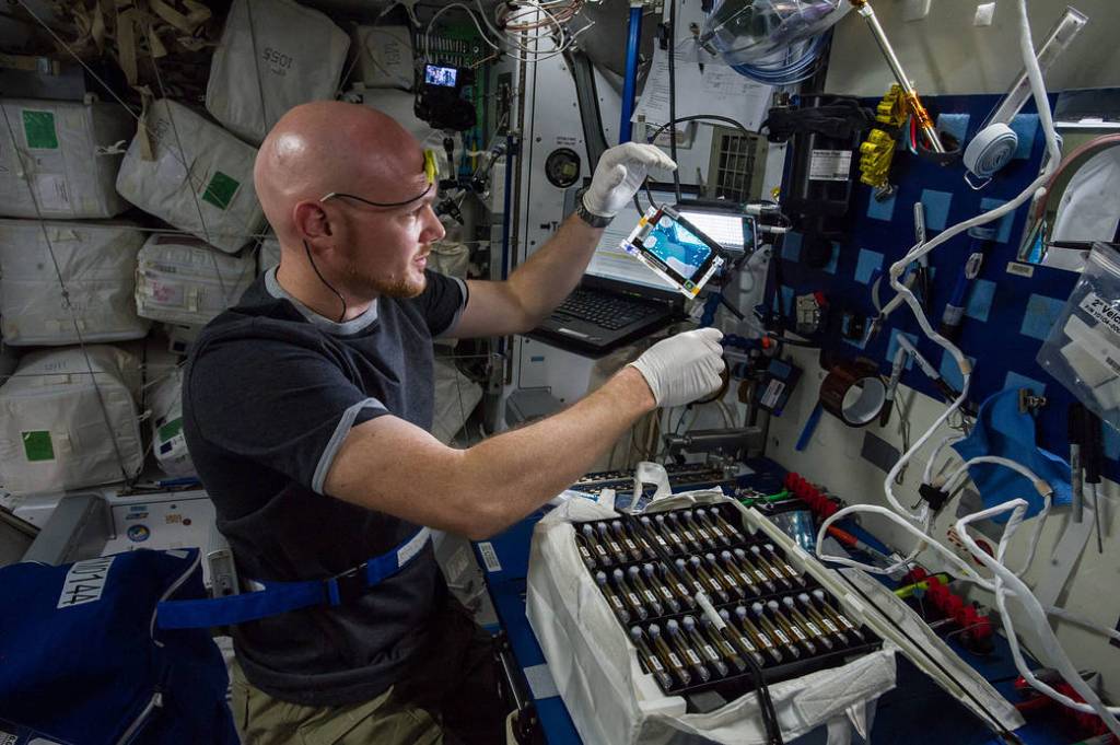 Sample Inspection