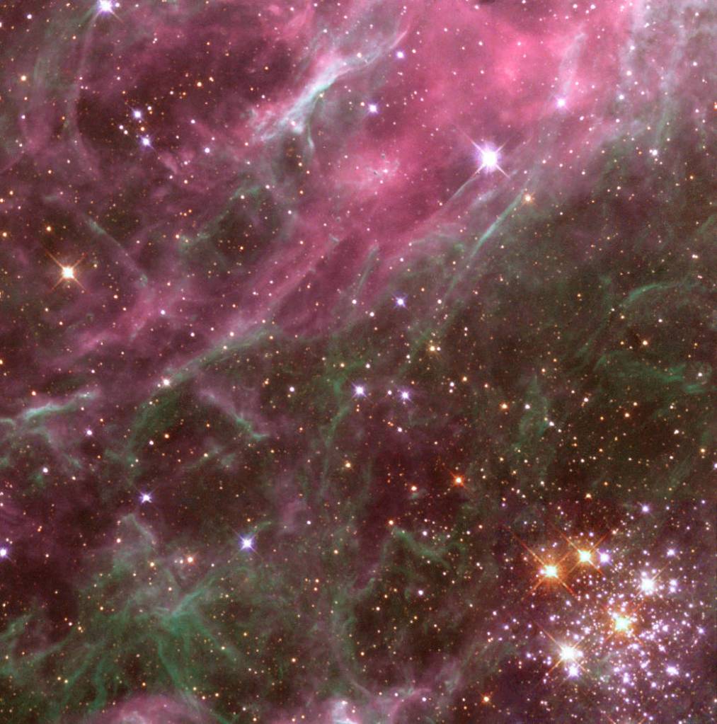 The Tarantula Nebula
