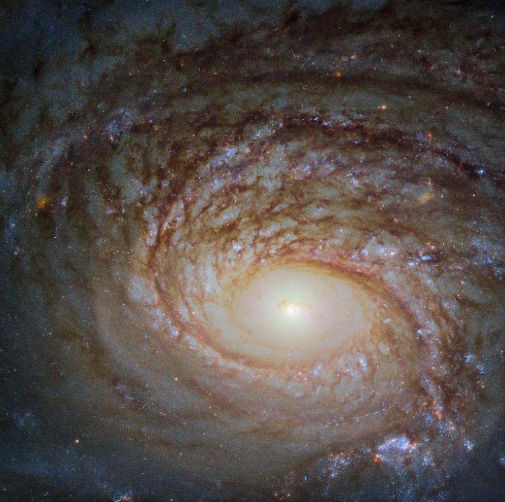 Hubble image of NGC 772