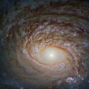 Hubble image of NGC 772