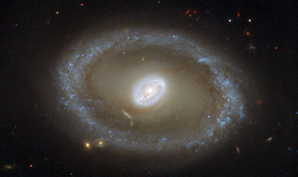 Hubble image of NGC 3081