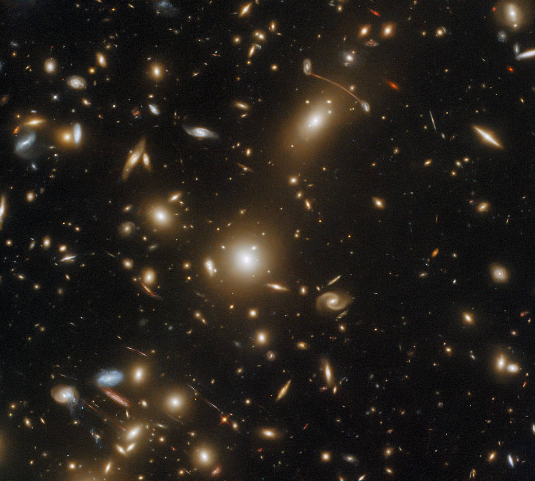 galaxies in all shapes and sizes fill the screen. Most are gold in color, but a few appear red and blue-white. Long thin arcs of gravitationally lensed light arc around the center of the image.