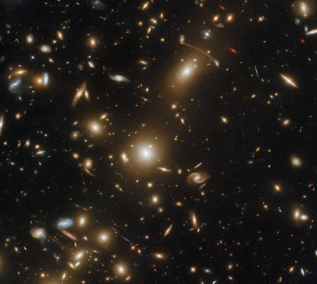 galaxies in all shapes and sizes fill the screen. Most are gold in color, but a few appear red and blue-white. Long thin arcs of gravitationally lensed light arc around the center of the image.