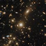 galaxies in all shapes and sizes fill the screen. Most are gold in color, but a few appear red and blue-white. Long thin arcs of gravitationally lensed light arc around the center of the image.